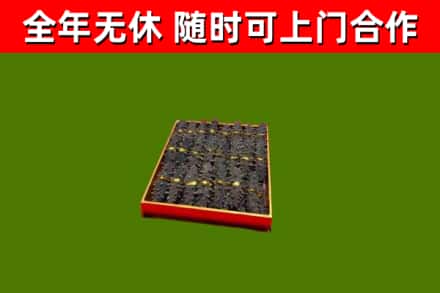 柞水烟酒回收海参.jpg